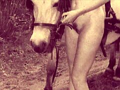 Vintage Horse Sex - ÎÏÎ¹Î¼Î¿ vintage FREE SEX VIDEOS - TUBEV.SEX