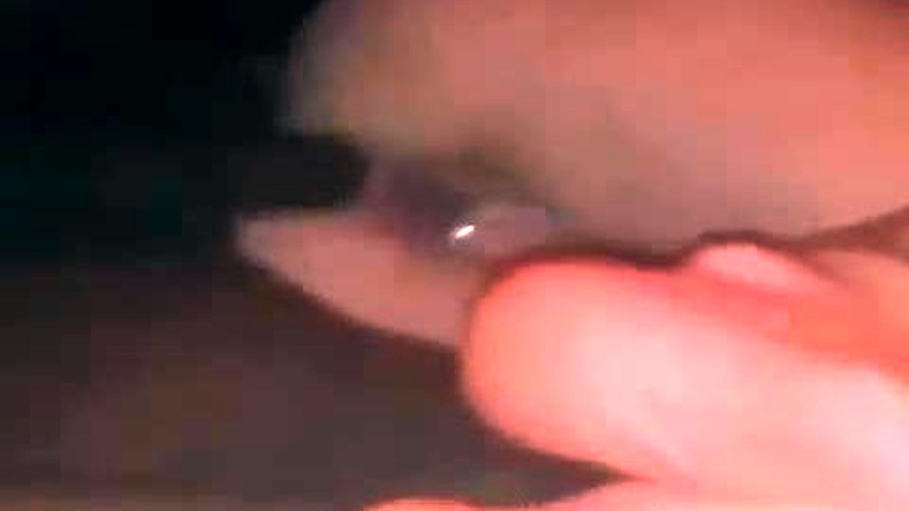 HD-pornovideo af en stor sort pik, der fister og fister en lille fisse